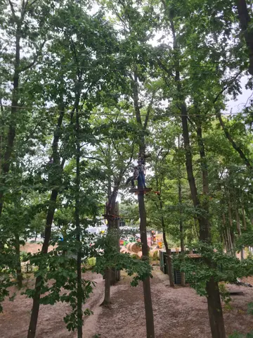 Bild 4 von 6 – 2. Sippenübernachtung Sommer 2025